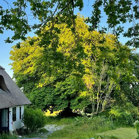 Half-timbered House From 1800s Near Casa de Férias